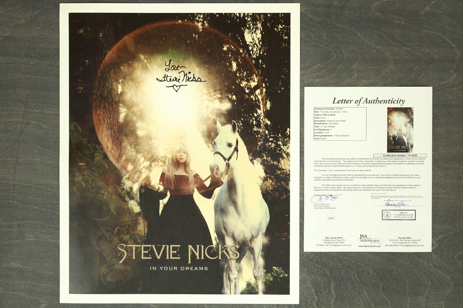 Stevie Nicks (Fleetwood Mac) Incredible Signed Autogrpahed Large Poster JSA LOA