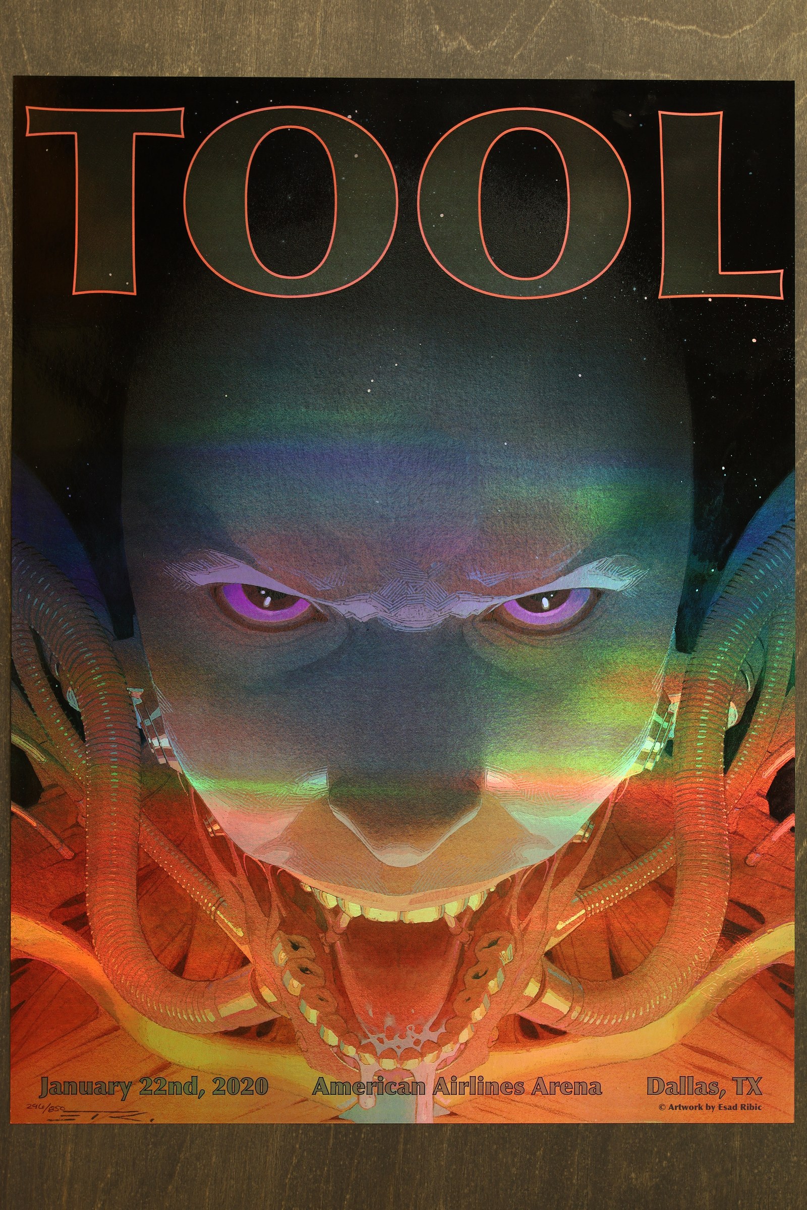 Tool Dallas TX 2020 Poster Ribic Art Pencil Monogram Signed Numbered 296/850