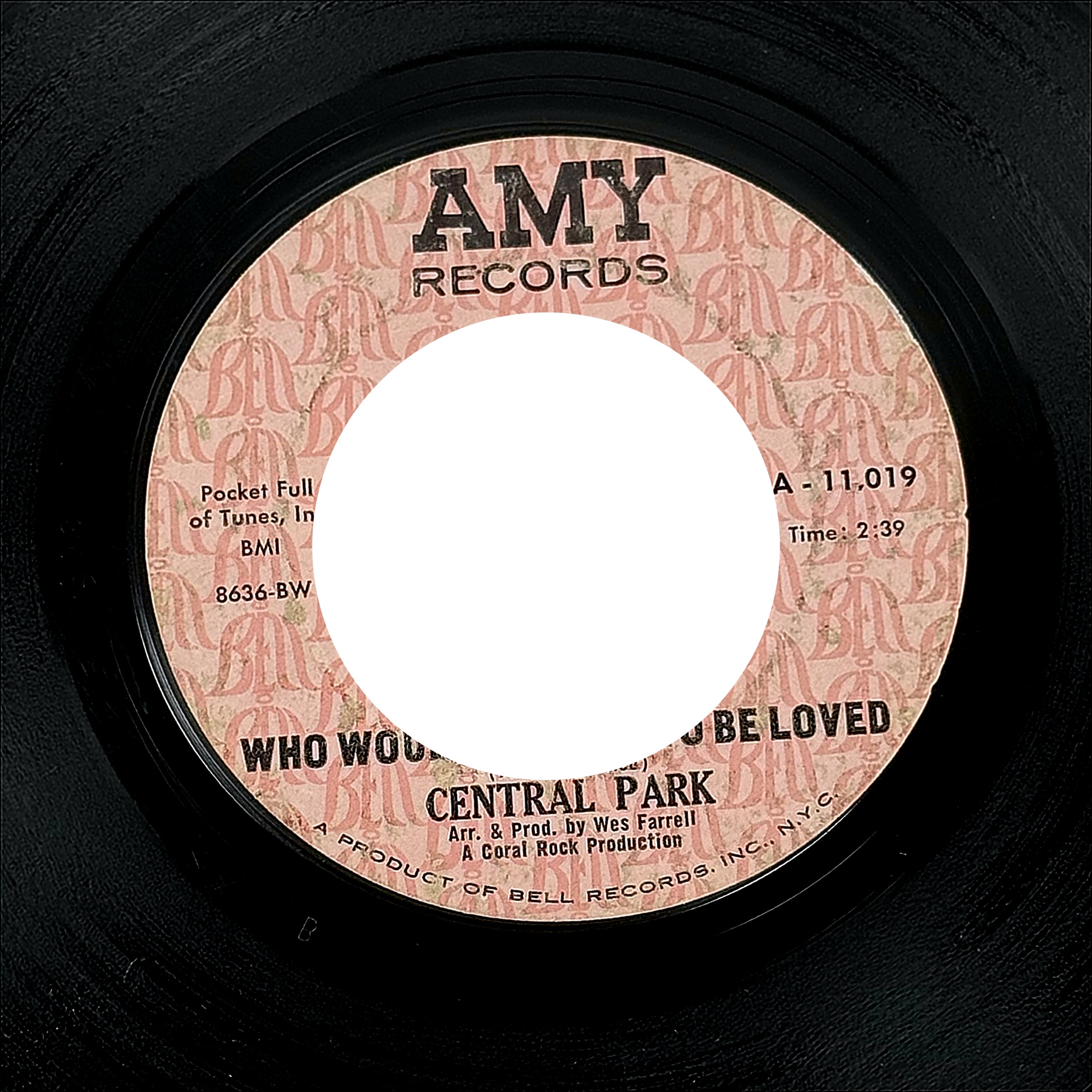 Central Park Who Wouldn't Love To Be Loved / Flower Hill 7" Vinyl 45 RPM 1968