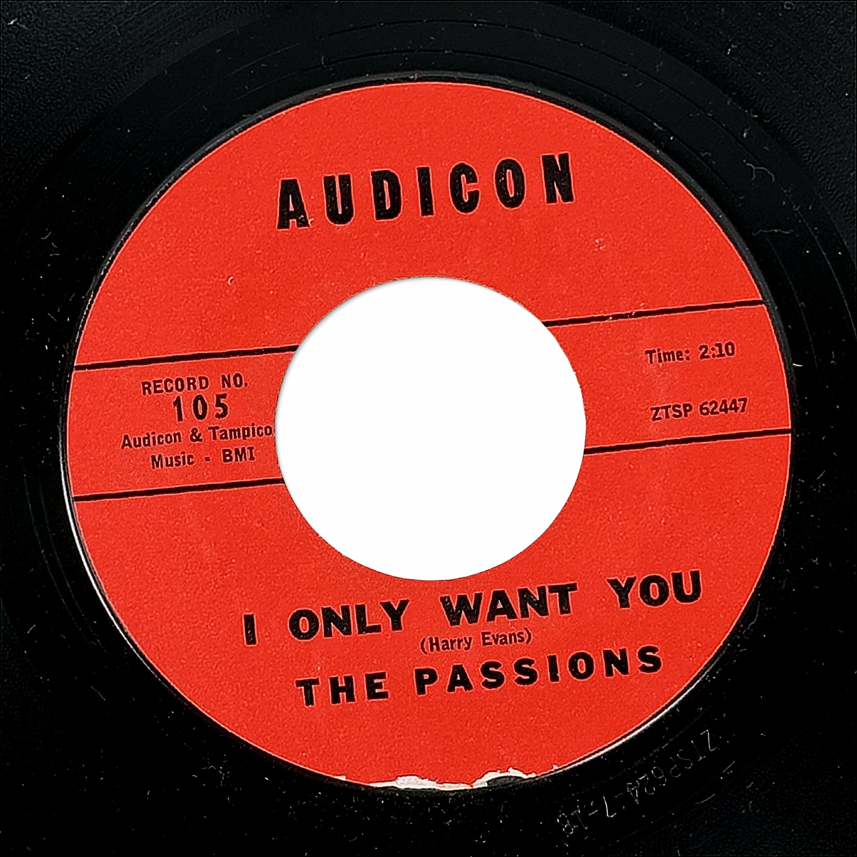 The Passions This Is My Love / I Only Want You 7" Vinyl 45 RPM Audicon 105 1960